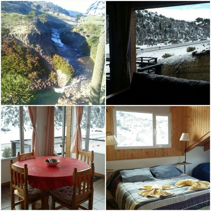 Apart Hotel Pehuenia ビージャ・ペウエニア エクステリア 写真